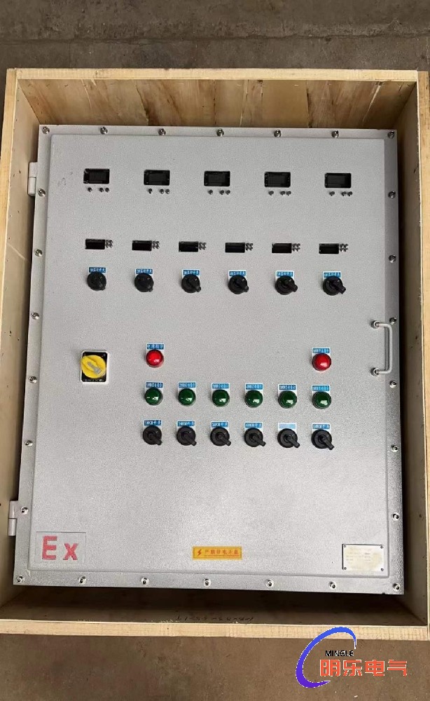 防爆配電箱發(fā)貨實拍